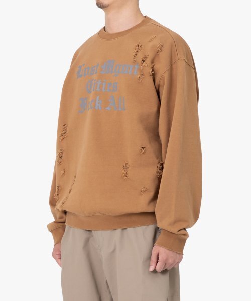 LMCの「LMC DISTRESSED EDGE F ALL SWEATSHIRT camel(スウェット・レディース・その他・LARGE/MEDIUM/SMALL/X-LARGE)」の3枚目の写真