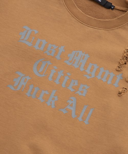 LMCの「LMC DISTRESSED EDGE F ALL SWEATSHIRT camel(スウェット・レディース・その他・LARGE/MEDIUM/SMALL/X-LARGE)」の8枚目の写真