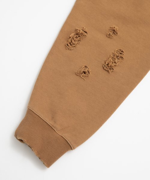 LMCの「LMC DISTRESSED EDGE F ALL SWEATSHIRT camel(スウェット・レディース・その他・LARGE/MEDIUM/SMALL/X-LARGE)」の12枚目の写真