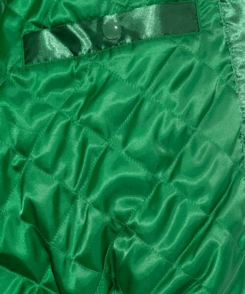 BIRTHDAYSUIT(バースデースーツ)の「COACH JUMPER (GREEN)(ナイロンジャケット・メンズ・その他・LARGE/MEDIUM/SMALL)」の5枚目の写真