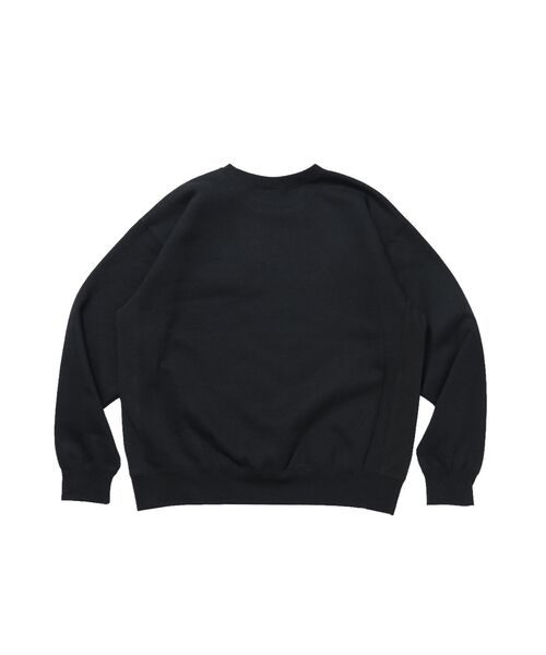 BEN DAVIS（ベンデイビス）の「【BEN DAVIS（ベンデイビス）】BD SWEAT CREW / スウェット クルーネック 裏起毛 ワンポイント刺繍 リサイズ ユニセックス（スウェット・メンズ・ホワイト系その他/ミント/ブラック/ネイビー/グレー・MEDIUM/X-LARGE/LARGE）」の10枚目の写真