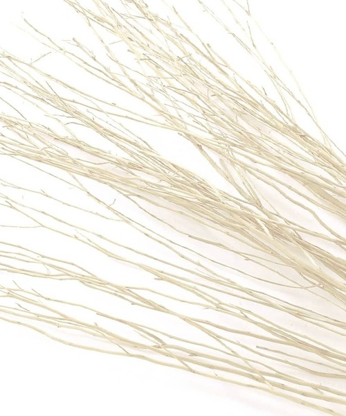 TOSSDICE / BamBooks the Heritage（トスダイス／バンブックスザヘリテイジ）の「【 TOSSDICE / トスダイス 】 フレグランス スティック / WHITE LADY BRANCH（ルームフレグランス/お香・レディース・ブラウン/ホワイト/グリーン・FREE）」の12枚目の写真