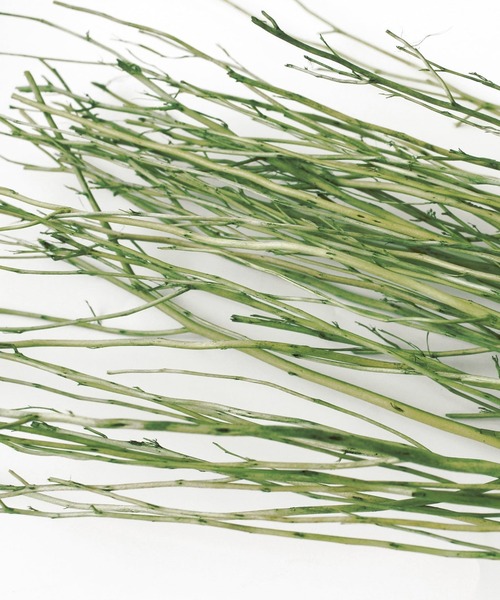 TOSSDICE / BamBooks the Heritage（トスダイス／バンブックスザヘリテイジ）の「【 TOSSDICE / トスダイス 】 フレグランス スティック / WHITE LADY BRANCH（ルームフレグランス/お香・レディース・ブラウン/ホワイト/グリーン・FREE）」の6枚目の写真