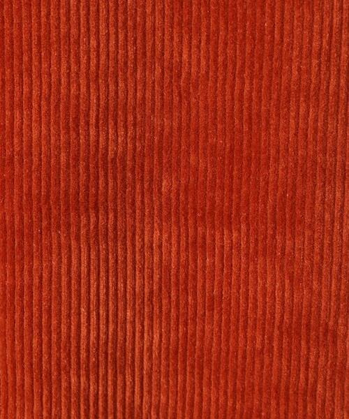 DRESSTERIOR（ドレステリア）の「コーデュロイイージースカート（スカート・レディース・ブラック/レッド系/ベージュ・34/36/38/40）」の17枚目の写真