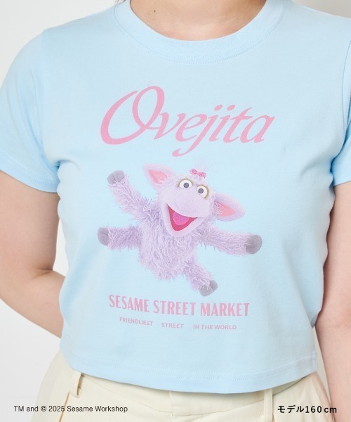 SESAME STREET(セサミストリート)の「【CHARMING THEY ARE!】クロップドTシャツ(Tシャツ/カットソー・レディース・ブルー/アイボリー/ピンク・F)」の9枚目の写真