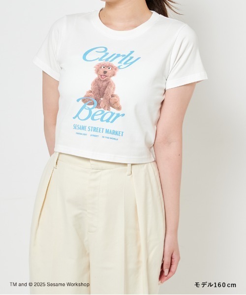 SESAME STREET(セサミストリート)の「【CHARMING THEY ARE!】クロップドTシャツ(Tシャツ/カットソー・レディース・ブルー/アイボリー/ピンク・F)」の12枚目の写真