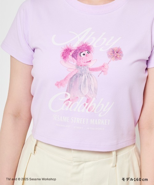 SESAME STREET(セサミストリート)の「【CHARMING THEY ARE!】クロップドTシャツ(Tシャツ/カットソー・レディース・ブルー/アイボリー/ピンク・F)」の14枚目の写真