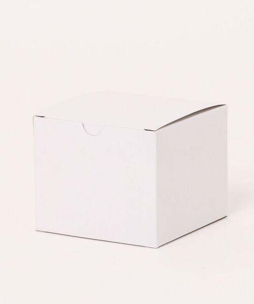 SKAGEN(スカーゲン)の「スカーゲン 腕時計&付け替え用ストラップバンド セット メンズ アナログ レザー W69X215OT(アナログ腕時計・メンズ・ブラウン・FREE)」の10枚目の写真