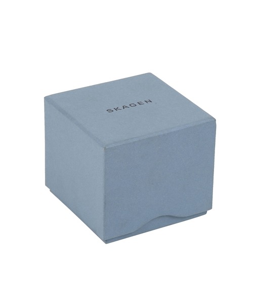 SKAGEN(スカーゲン)の「スカーゲン 腕時計&付け替え用ストラップバンド セット メンズ アナログ レザー W69X215OT(アナログ腕時計・メンズ・ブラウン・FREE)」の8枚目の写真