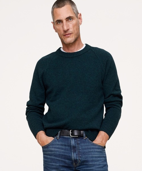 Banana Republic（バナナリパブリック）の「イタリアン メリノブレンド クルーネックセーター（ニット/セーター・メンズ・ブラウン/ブルー/フューシャピンク・S/L/M/XL）」の3枚目の写真