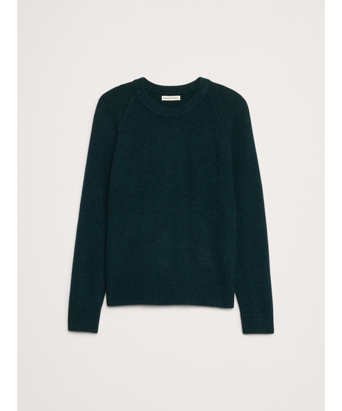 Banana Republic（バナナリパブリック）の「イタリアン メリノブレンド クルーネックセーター（ニット/セーター・メンズ・ブラウン/ブルー/フューシャピンク・S/L/M/XL）」の12枚目の写真