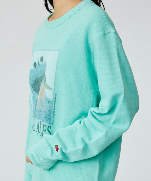 FRUIT OF THE LOOM（フルーツオブザルーム）の「【FRUIT OF THE LOOM】ロングスリーブ甘編み裏毛4/COOKIEMONSTER/ユニセックス【WEB限定】【予約】（スウェット・メンズ・エメラルド/パープル・M/L）」の9枚目の写真