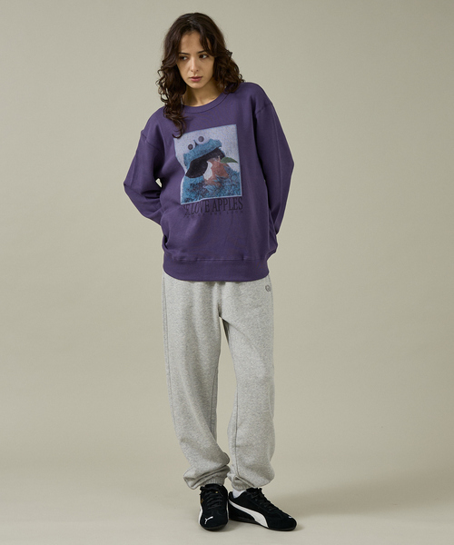 FRUIT OF THE LOOM（フルーツオブザルーム）の「【FRUIT OF THE LOOM】ロングスリーブ甘編み裏毛4/COOKIEMONSTER/ユニセックス【WEB限定】【予約】（スウェット・メンズ・エメラルド/パープル・M/L）」の16枚目の写真
