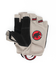 Mammut | Trovat Glove /1090-02160(手袋)