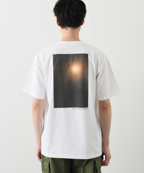 JOURNAL STANDARD（ジャーナルスタンダード）の「【THE DAY PHOTOGRAPHY×Yoo Hoo Store】BIRDS S/S TEE（Tシャツ/カットソー・メンズ・ホワイト・MEDIUM/LARGE/X-LARGE）」の6枚目の写真