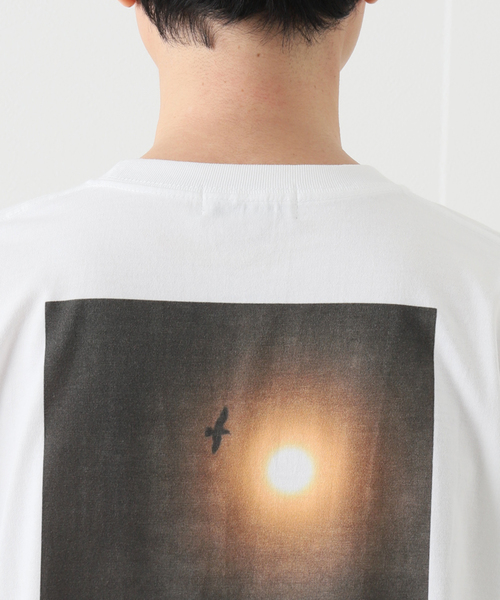 JOURNAL STANDARD（ジャーナルスタンダード）の「【THE DAY PHOTOGRAPHY×Yoo Hoo Store】BIRDS S/S TEE（Tシャツ/カットソー・メンズ・ホワイト・MEDIUM/LARGE/X-LARGE）」の8枚目の写真
