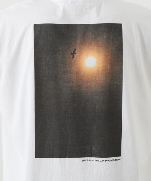 JOURNAL STANDARD（ジャーナルスタンダード）の「【THE DAY PHOTOGRAPHY×Yoo Hoo Store】BIRDS S/S TEE（Tシャツ/カットソー・メンズ・ホワイト・MEDIUM/LARGE/X-LARGE）」の13枚目の写真
