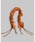 Topologie�i�g�|���W�[�j�́uBungee Wrist Strap�y�X�g���b�v�P�́z�i�X�}�z�O�b�Y�j�v�b�I�����W
