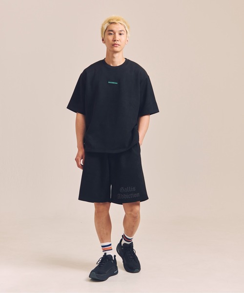 GALLIS ADDICTION（ガリスアディクション）の「GA SUEDE RAINBOW-REFLECTOR TEE（Tシャツ/カットソー・メンズ・ライトグレー/ブラック・M/L）」の21枚目の写真