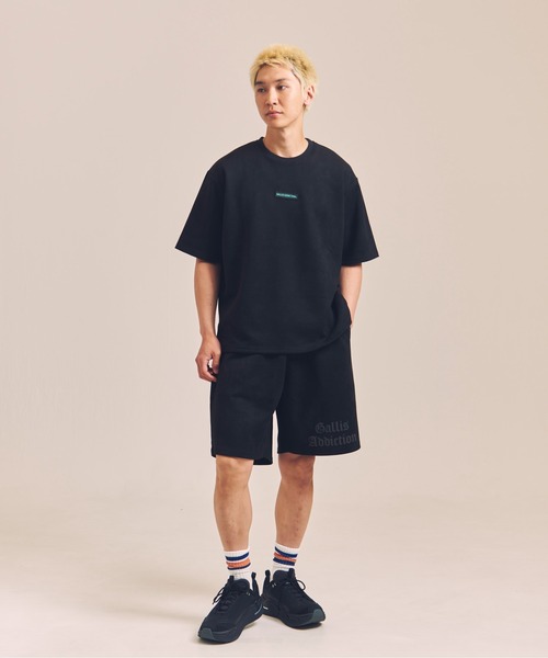 GALLIS ADDICTION（ガリスアディクション）の「GA SUEDE RAINBOW-REFLECTOR TEE（Tシャツ/カットソー・メンズ・ライトグレー/ブラック・M/L）」の22枚目の写真