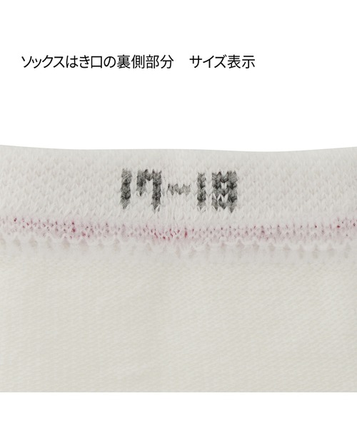 MIKI HOUSE(ミキハウス)の「【WEB限定】ローカットソックス(ソックス/靴下・キッズ・ブルー/ネイビー/イエロー/パープル/ホワイト/レッド系その他/レッド/グリーン/ピンク/ライトグリーン・11-13cm/13-15cm/15-17cm/17-19cm/19-21cm/21-23cm)」の17枚目の写真