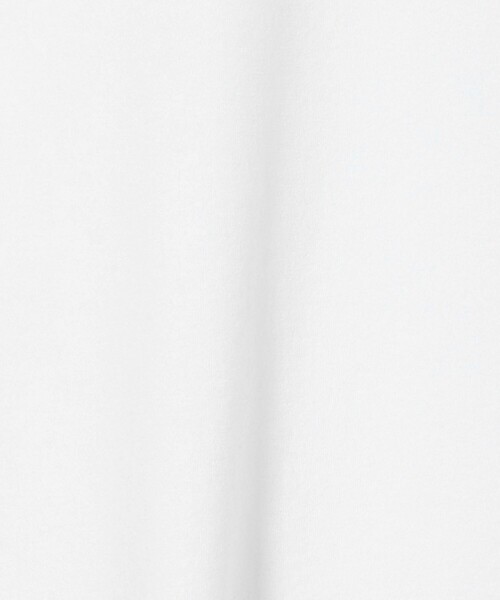 LACOSTE(ラコステ)の「<LACOSTE for BEAUTY&YOUTH> 1トーン パイル Tシャツ(Tシャツ/カットソー・メンズ・ダークグレー/ネイビー/ライム/ホワイト・L/XL/M/S)」の20枚目の写真