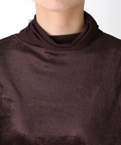 Jines（ジネス）の「カットベロアタートル（Tシャツ/カットソー・レディース・ブラウン/ブラック・38）」の5枚目の写真
