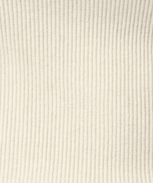 green label relaxing(グリーンレーベルリラクシング)の「ラメ リブ ボートネック カットソー(Tシャツ/カットソー・レディース・オフホワイト/モカ/ライトブルー・FREE)」の12枚目の写真
