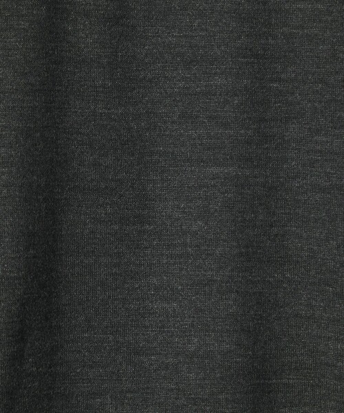 Steven Alan(スティーブンアラン)の「<Steven Alan> メリノウール クルーネック Tシャツ(Tシャツ/カットソー・メンズ・ワインレッド/ダークグレー・S/M/L/XL)」の19枚目の写真