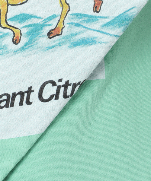 Savignac（サヴィニャック）の「SAVIGNAC (サビニャック) 別注 French Company プリント Tシャツ（Tシャツ/カットソー・メンズ・パープル/ホワイト/ホワイト系その他/ライトホワイト/モスグリーン/ブラック/ホワイト×ホワイト/ライトブルー/ブラック系その他・MEDIUM/LARGE/X-LARGE）」の17枚目の写真