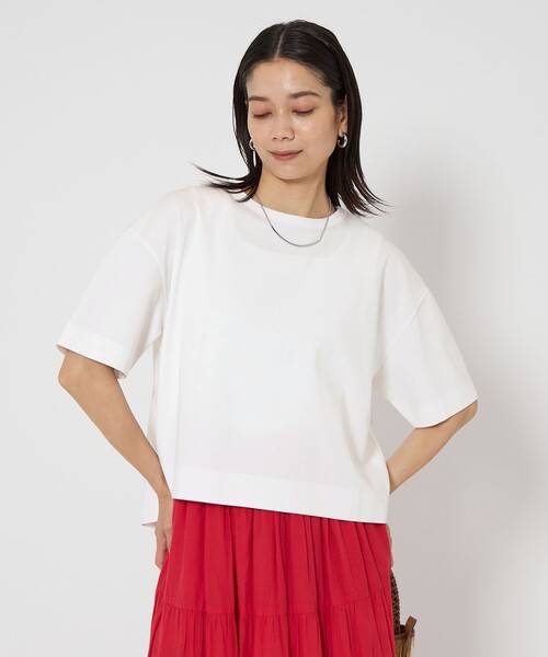 tシャツ クロップド ポンチ Ｔシャツ レディース クロップド ポンチ Tシャツ