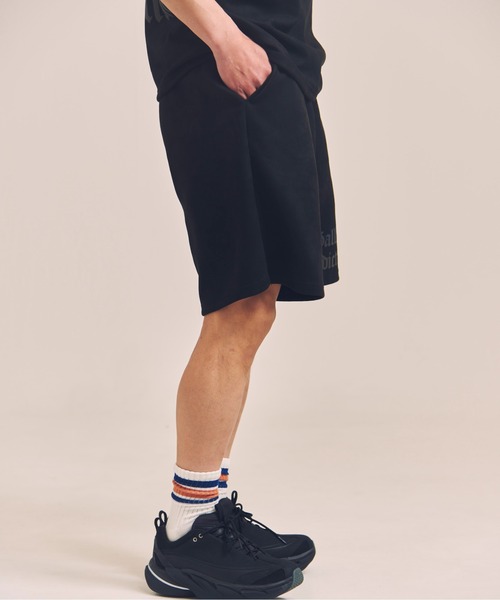 GALLIS ADDICTION（ガリスアディクション）の「GA SUEDE LOGO SHORTS（その他パンツ・メンズ・ブラック/ライトグレー・M/L）」の20枚目の写真