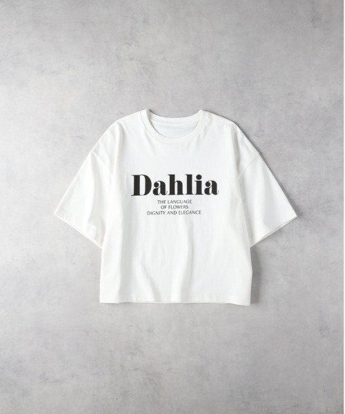 Right-on（ライトオン）の「HONEYSUCKLE ROSE(ハニーサックルローズ)【レディース】プリントビッグＴシャツ（Tシャツ/カットソー・レディース・オフホワイト/ベージュ/ブラック・L/M）」の13枚目の写真