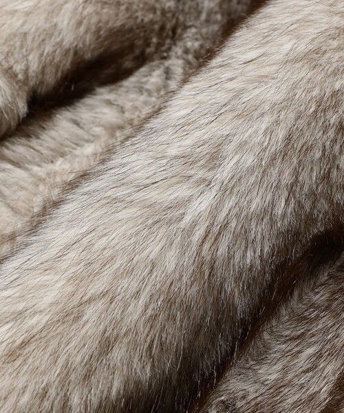 Ray BEAMS（レイビームス）の「フェイクファー ショート ブルゾン（ブルゾン・レディース・ダークブラウン/シルバー・0/1）」の7枚目の写真