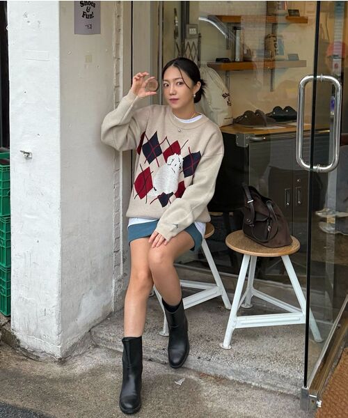 WaiKei(ワイケイ)の「マルチーズ アーガイル クルーネック ニット オートミール(ニット/セーター・レディース・その他・2/1)」の5枚目の写真