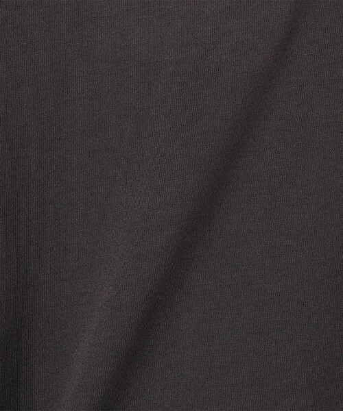 go slow caravan(ゴースローキャラバン)の「go slow caravan/ゴースローキャラバン UVケア 吸水速乾 海猫TEE クルーネックTシャツ【限定展開】(Tシャツ/カットソー・メンズ・チャコールグレー/オフホワイト・4/3/2/5)」の7枚目の写真
