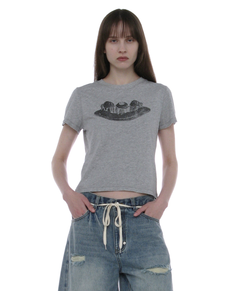 PARTIMENTO WOMEN(パルティメントウィメン)の「デザートエディションティー_メランジ(Tシャツ/カットソー・レディース・その他・SMALL/MEDIUM)」の1枚目の写真