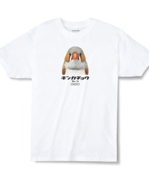 Moftique（モフティック） エントリーモデル 半袖Tシャツ アニマル キンカチョウ フォーン インコ 鳥 ペット インクジェットプリント 褪せ感 4.0オンス 薄手 トップス カットソー 夏 カジュアル メンズ レディース ユニセックス