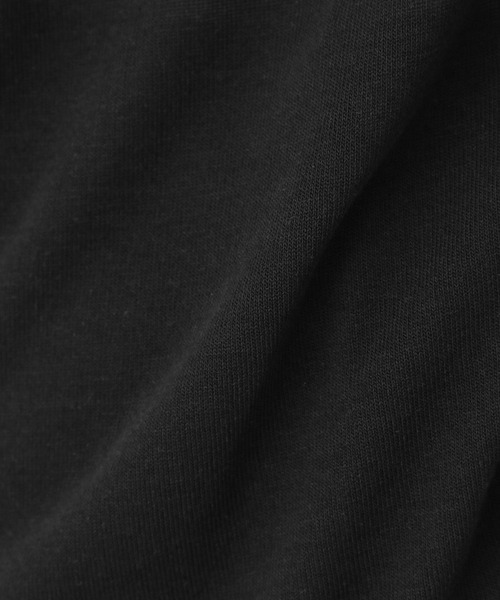 LEPSIM(レプシィム)の「シアーレイヤードタートル 273828(Tシャツ/カットソー・レディース・ブラック/パープル/オフホワイト・FREE)」の15枚目の写真