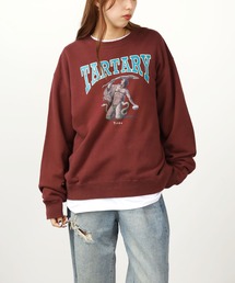 DIET BUTCHER | DIET BUTCHER/ダイエットブッチャー  Vintage crew neck 「titan」 スウェット(スウェット)