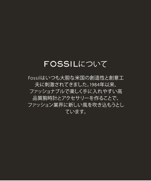 FOSSIL（フォッシル）の「フォッシル アクセサリー レディース ピアス ゴールド JF04741710（ピアス（両耳用）・レディース・GOLD・FREE）」の10枚目の写真