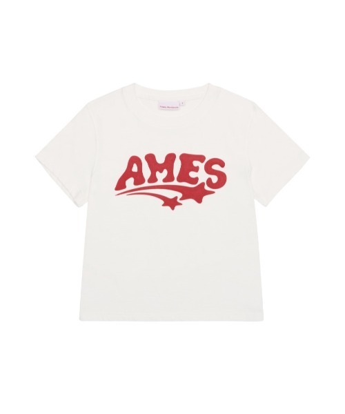 ★AMES-WORLDWIDE★ANILLO X AMES TERRY TEE★正規品/直送料込 AMES-WORLDWIDE(アメスワールドワイド) Tシャツ・カットソー
