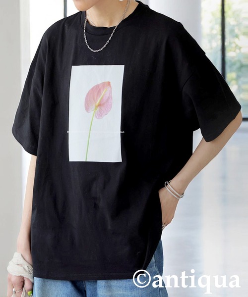 antiqua(アンティカ)の「フラワープリントTシャツ(Tシャツ/カットソー・レディース・ブラック/ホワイト・ONESIZE)」の1枚目の写真