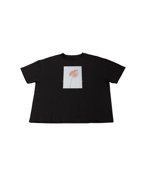 antiqua(アンティカ)の「フラワープリントTシャツ(Tシャツ/カットソー・レディース・ブラック/ホワイト・ONESIZE)」の13枚目の写真
