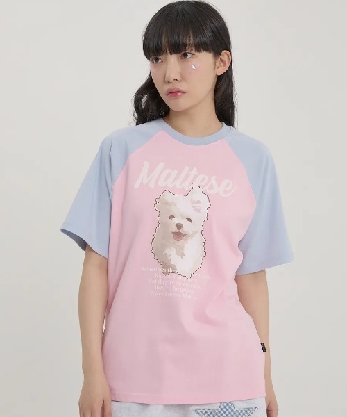 tシャツ A'GEM/9 × .kom 「WaiKei/ワイケイ」マルチーズアーカイブリンガーハーフスリーブTシャツ レディース メンズ A'GEM/9 × .kom 『WaiKei/ワイケイ』マルチーズアーカイブ