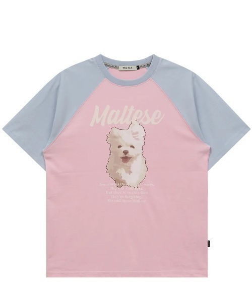 tシャツ A'GEM/9 × .kom 「WaiKei/ワイケイ」ルムイラストレーションラグランハーフスリーブTシャツ レディース メンズ A'GEM/9 × .kom 『WaiKei/ワイケイ』ルムイラストレーション