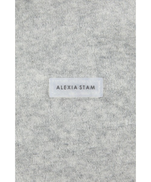 ALEXIA STAM（アリシアスタン）の「Wellness Velour Hoodie  /ウェルネス ベロアフーディー（パーカー・レディース・グレー/ブラウン/レッド・FREE）」の21枚目の写真