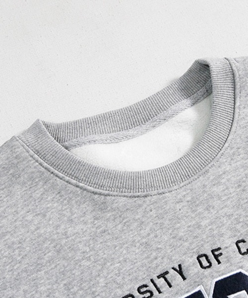 NOWLE（ノウル）の「【NOWLE】ヴィンテージライク カレッジロゴ 刺繍 スウェット（スウェット・メンズ・グレー・LARGE/MEDIUM/X-LARGE）」の17枚目の写真
