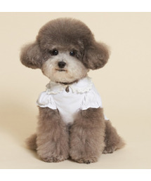 MEANINGLESS（ミーニングレス）の「ポイントシャツ（ペットウェア）」