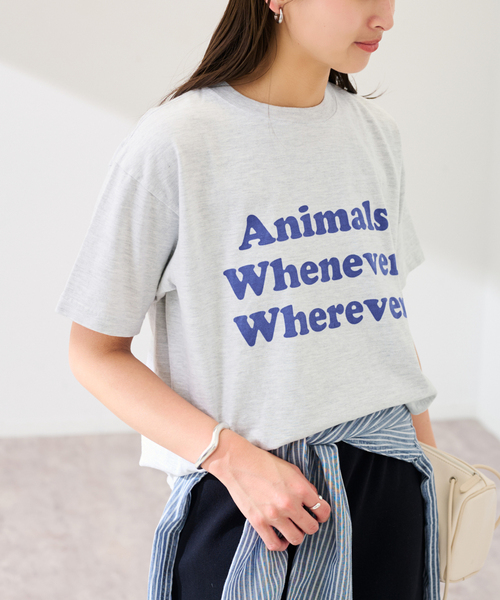 FRAMeWORK(フレームワーク)の「STUDIO ANIMALS 別注WHENEVER WH(Tシャツ/カットソー・レディース・ネイビー/ブラウン/ライトグレー・FREE)」の8枚目の写真